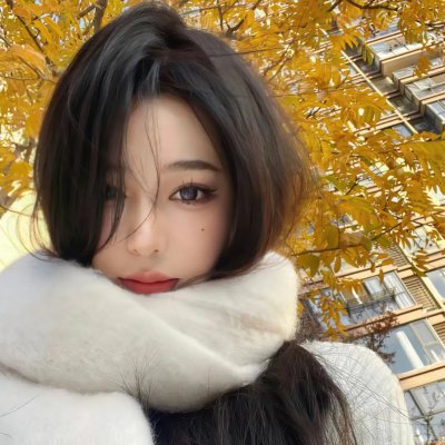 探险活宝第八季